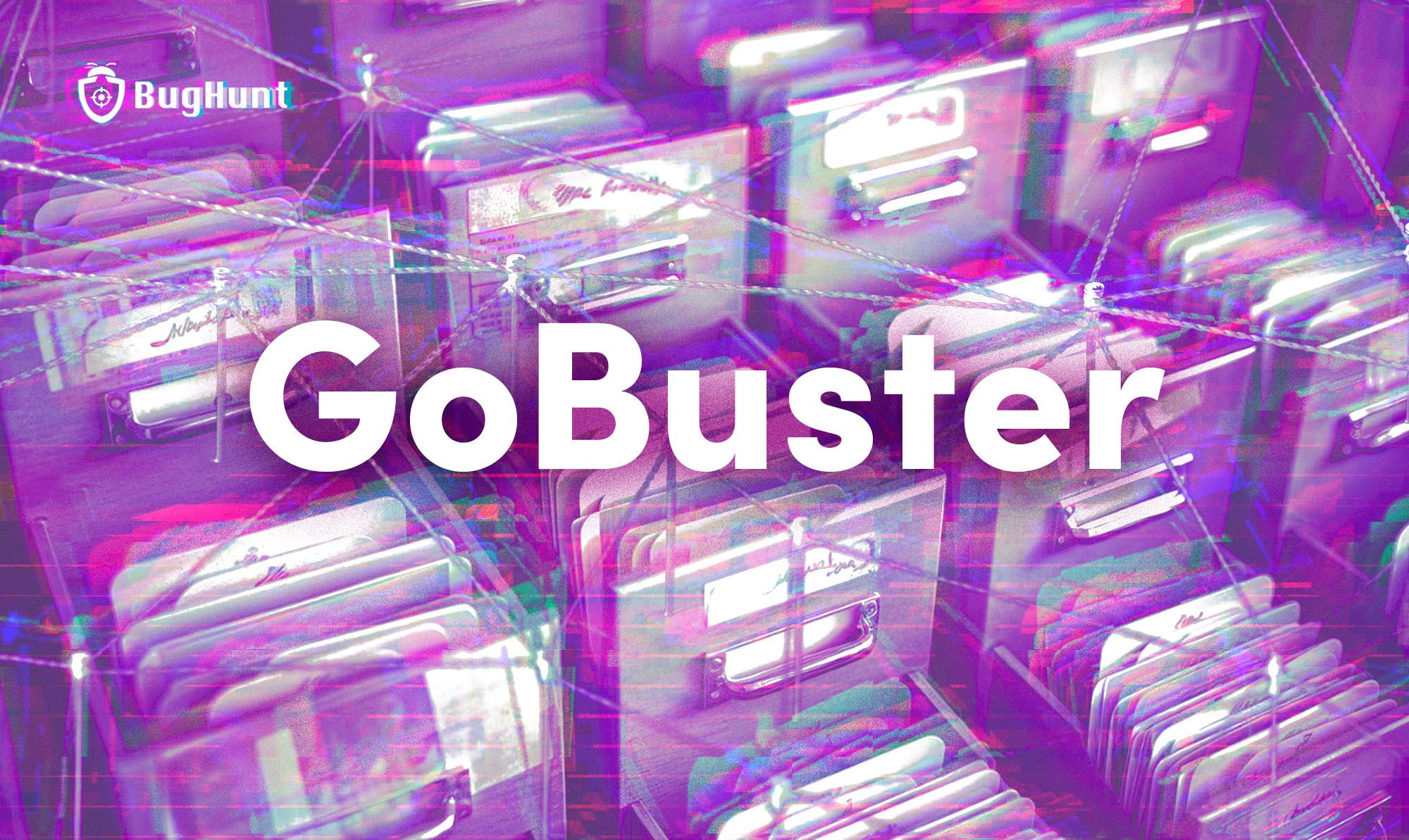Como usar o GoBuster para proteger arquivos sensíveis